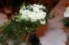 img_3986_small.jpg
